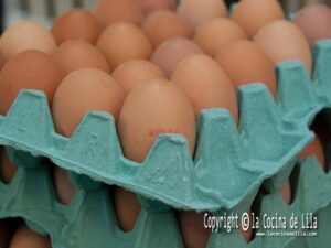 Cómo Pasteurizar huevos