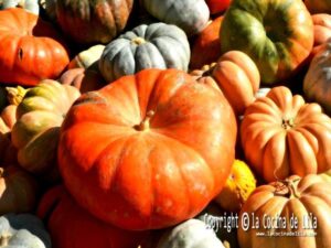 Recetas con calabaza