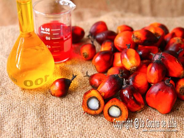 Productos con aceite de palma