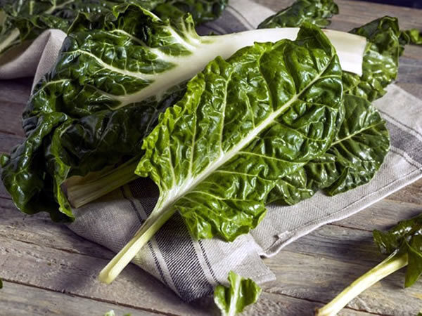 Cómo congelar acelgas